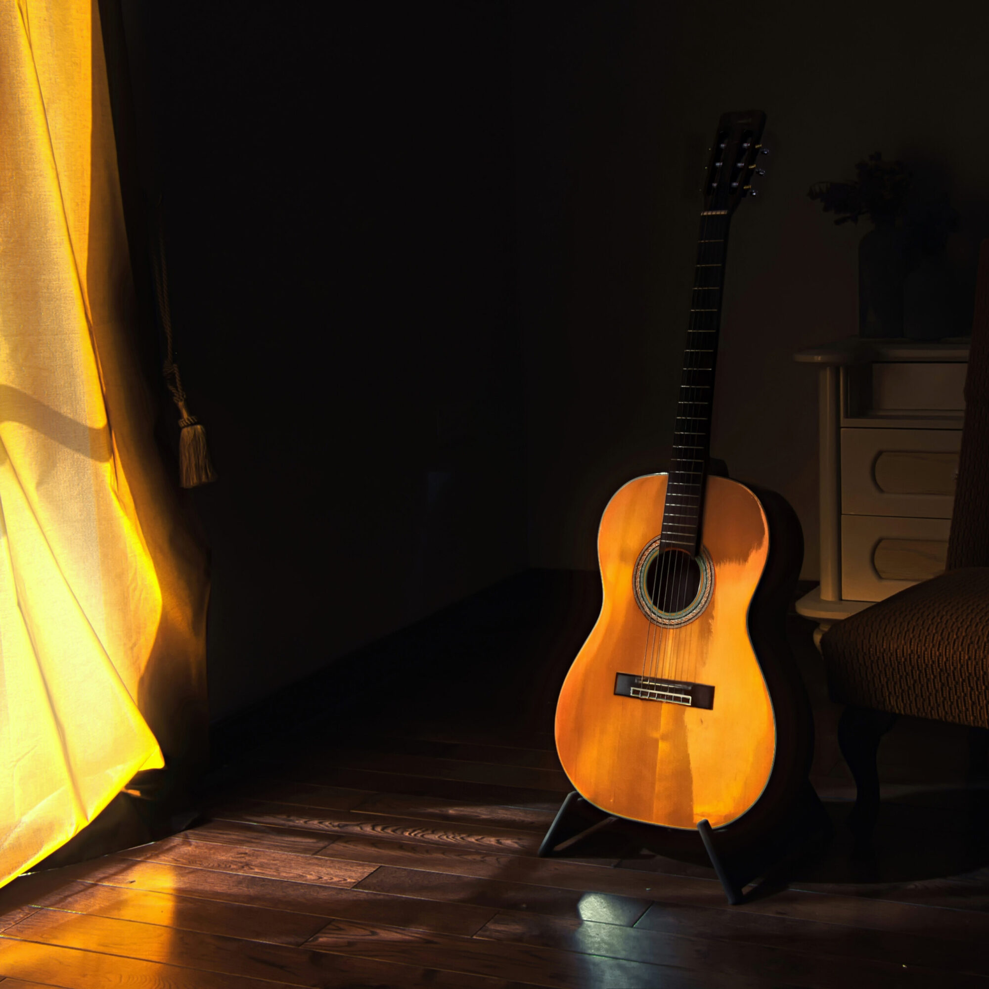 Classical guitar, nylon string guitar